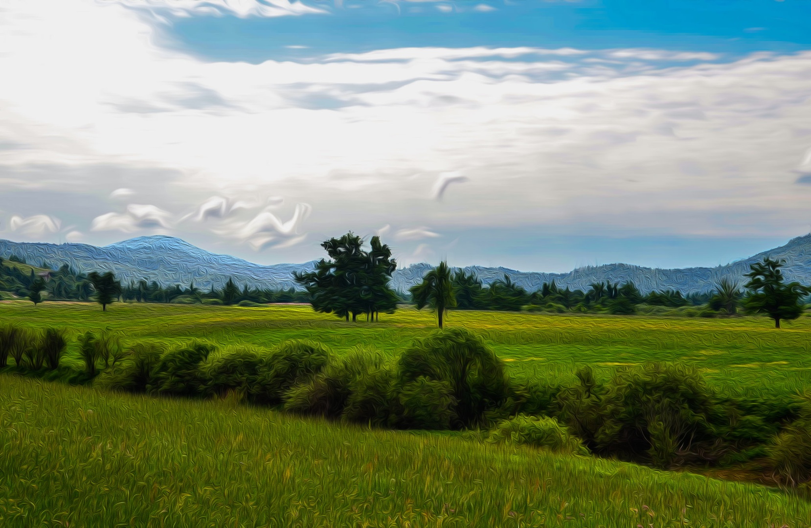 Planinsko polje by Damijan Ožvatič