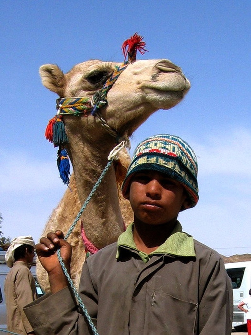 Deček in kamela, Sahara by
