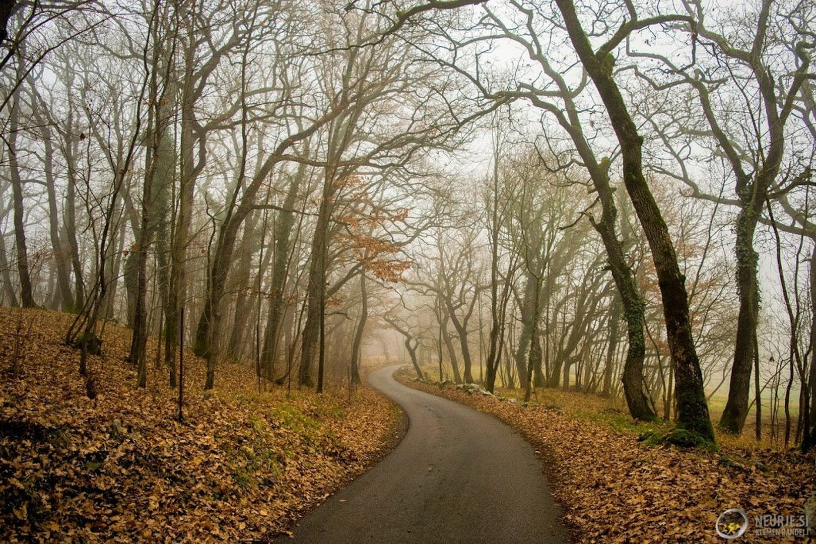 Mysterious road by Klemen Bandelj