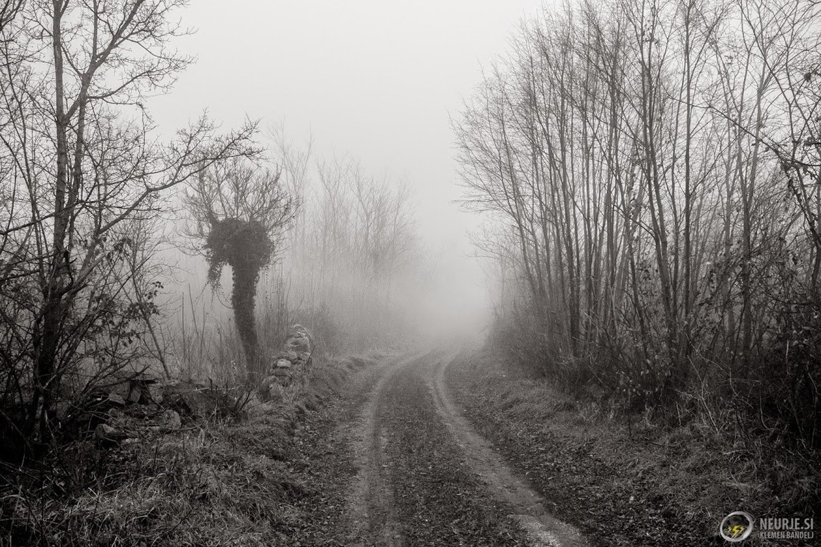 Mysterious road #2 by Klemen Bandelj