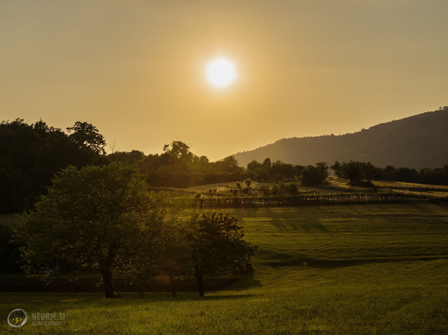 Peaceful fields by Klemen Bandelj