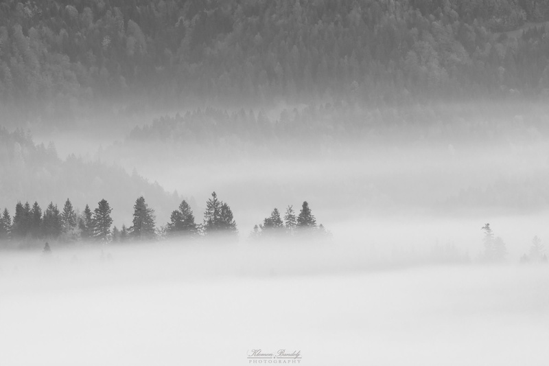 Sivo jutro by Klemen Bandelj