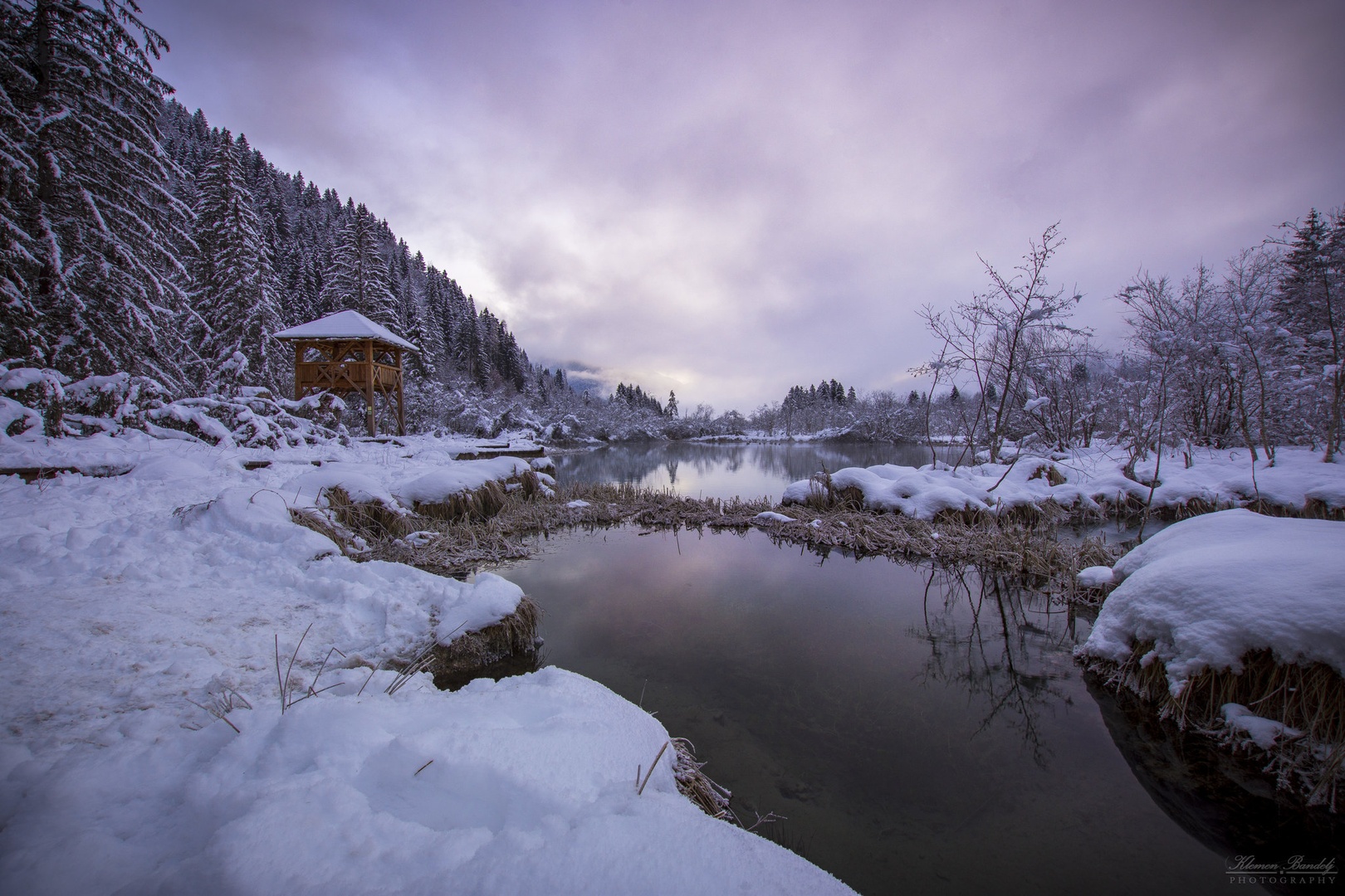Zelenci by Klemen Bandelj