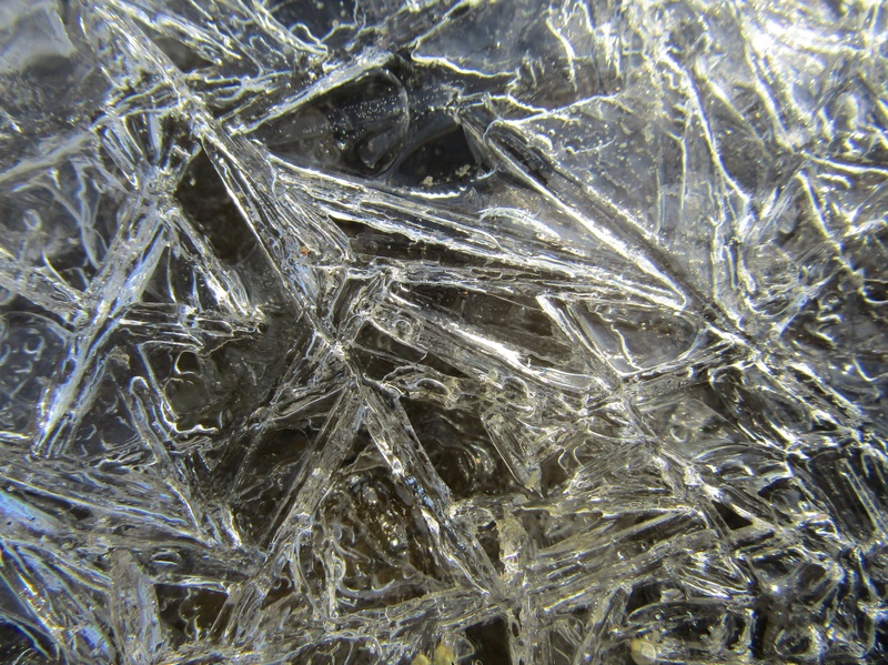 Frozen by Maj Naglič Saje