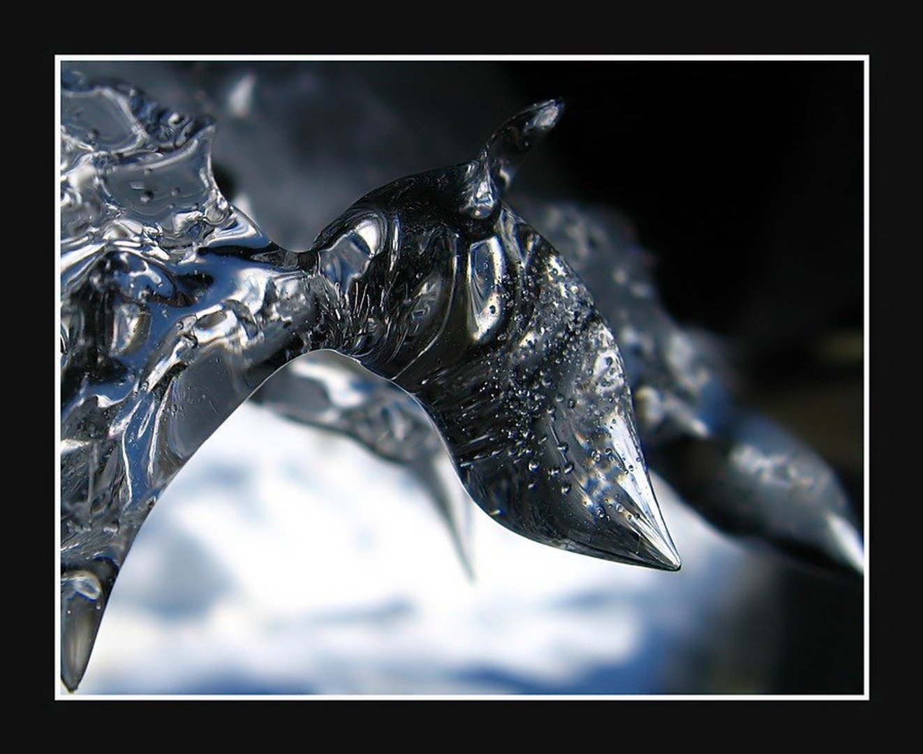 Ice Fox by Slavko Keršmanc