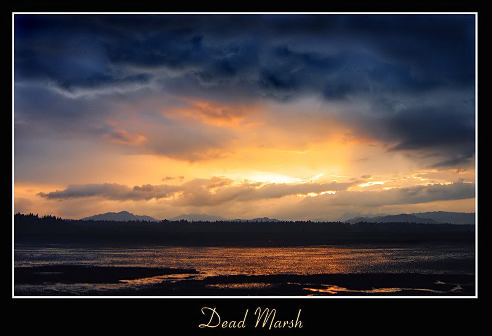 Dead Marsh by Slavko Keršmanc