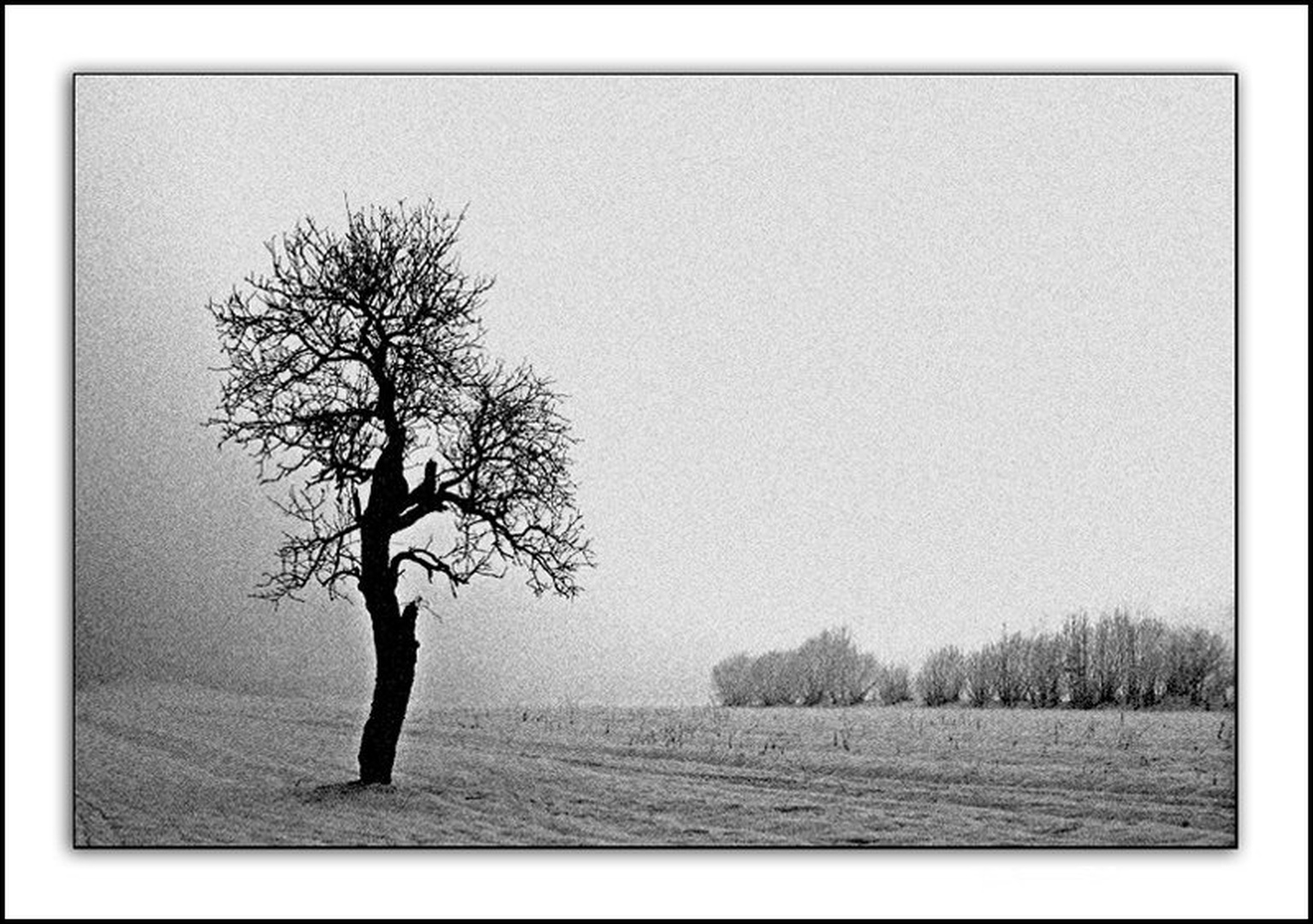 Winter Solitude by Slavko Keršmanc