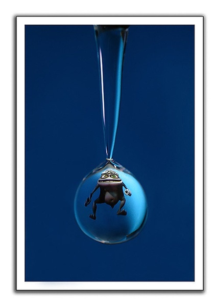 Crazy Frog by Slavko Keršmanc