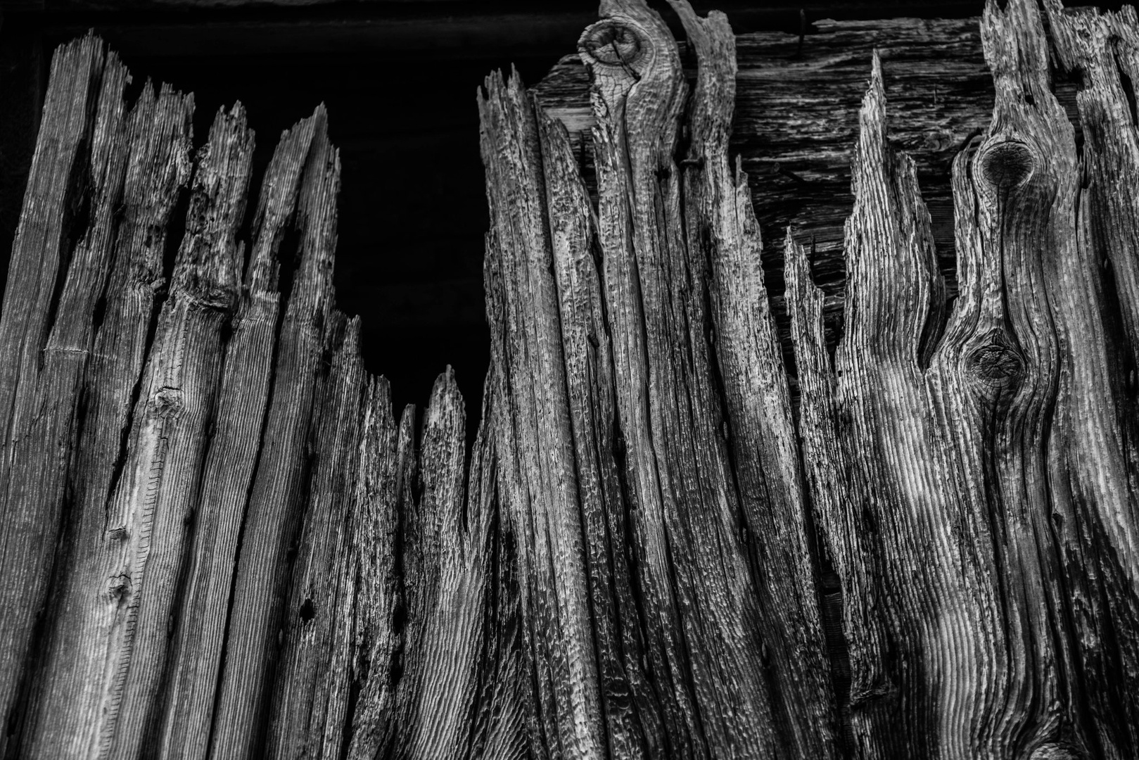 Old wood by Bojan Modic