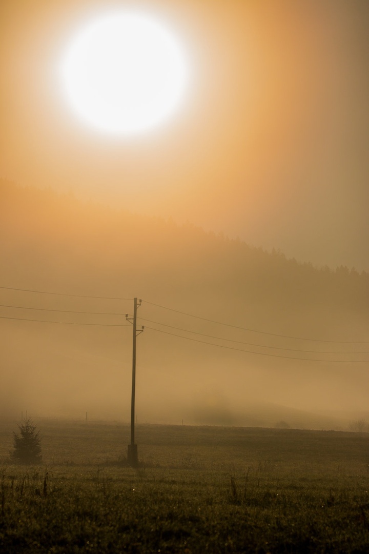 Megleno jutro by Bojan Modic