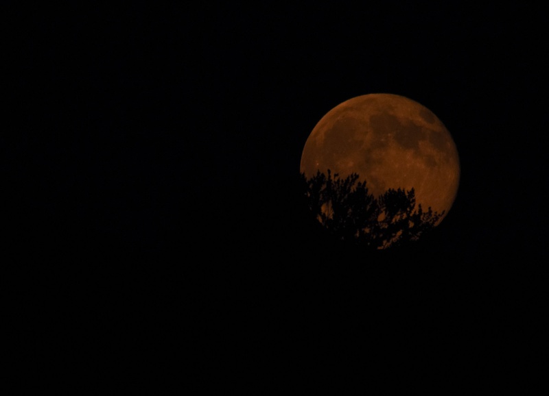 Luna. by Marko Gril