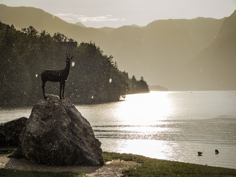 Bohinjsko jezero by Sanja Karin Mušič