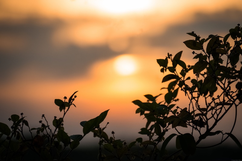 Sunset by Sanja Karin Mušič
