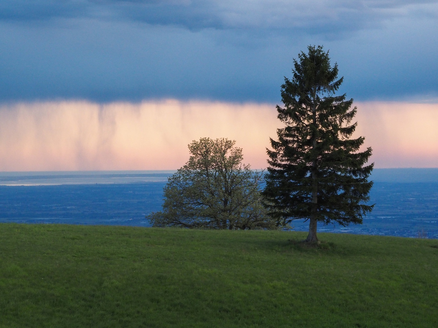 Purple rain by Jadran Telarevic