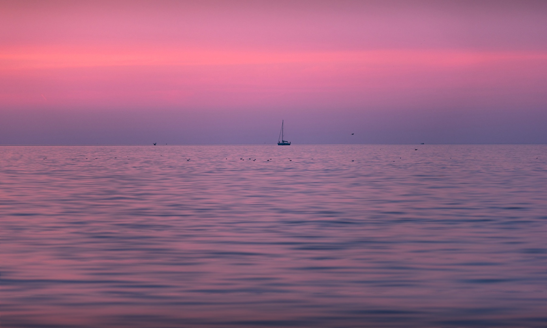 Dream on by Jadran Telarevic