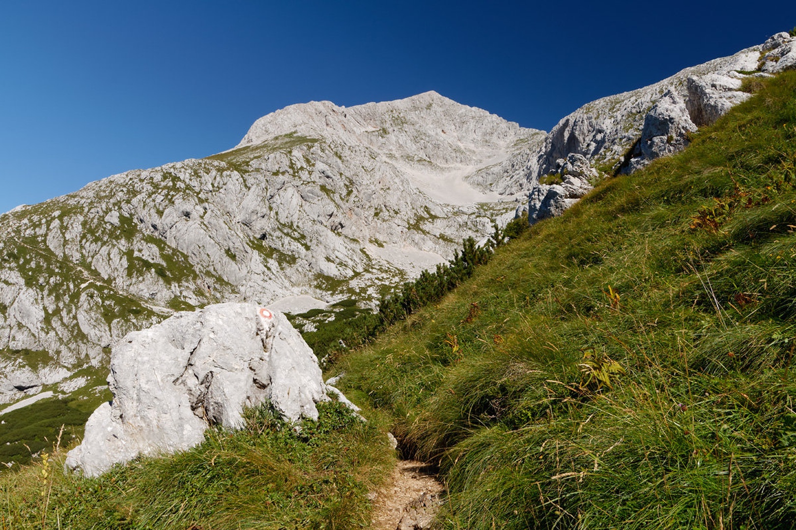 Na Grintovec ... by Dane Lojen