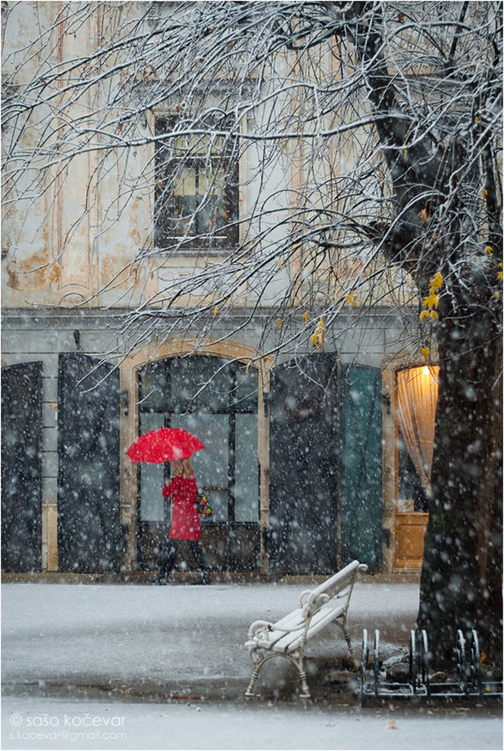 ... by Sašo Kočevar