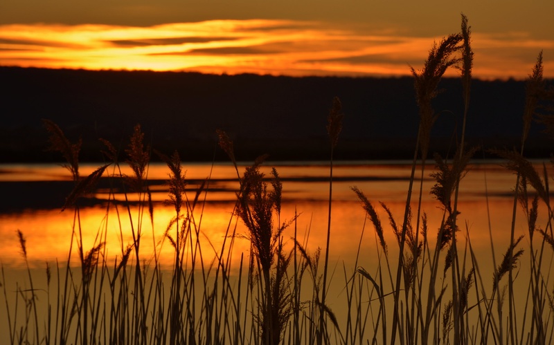 SUNSET by Dragan Radujko