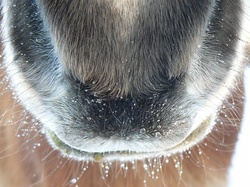 close up by ana