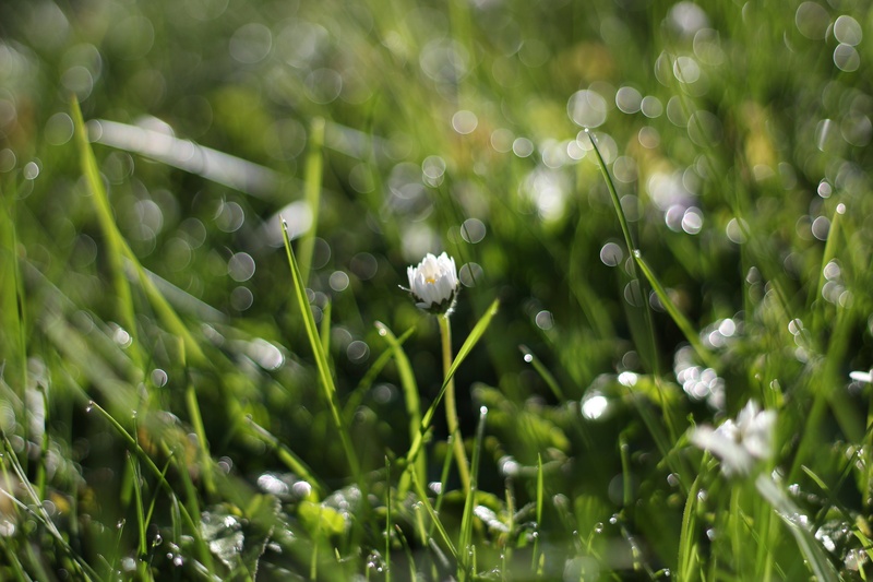 after  the rain by ana