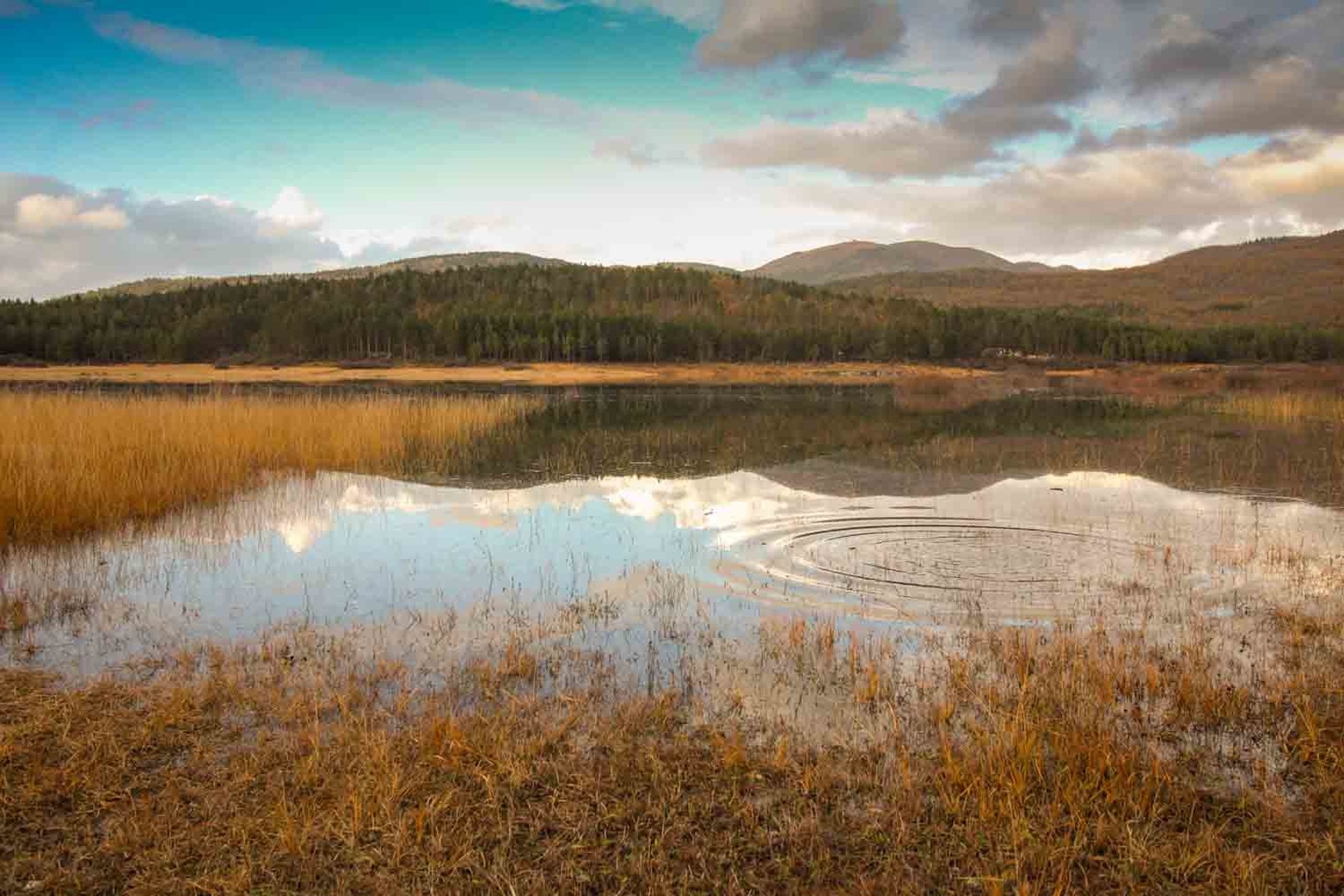 lake by ana