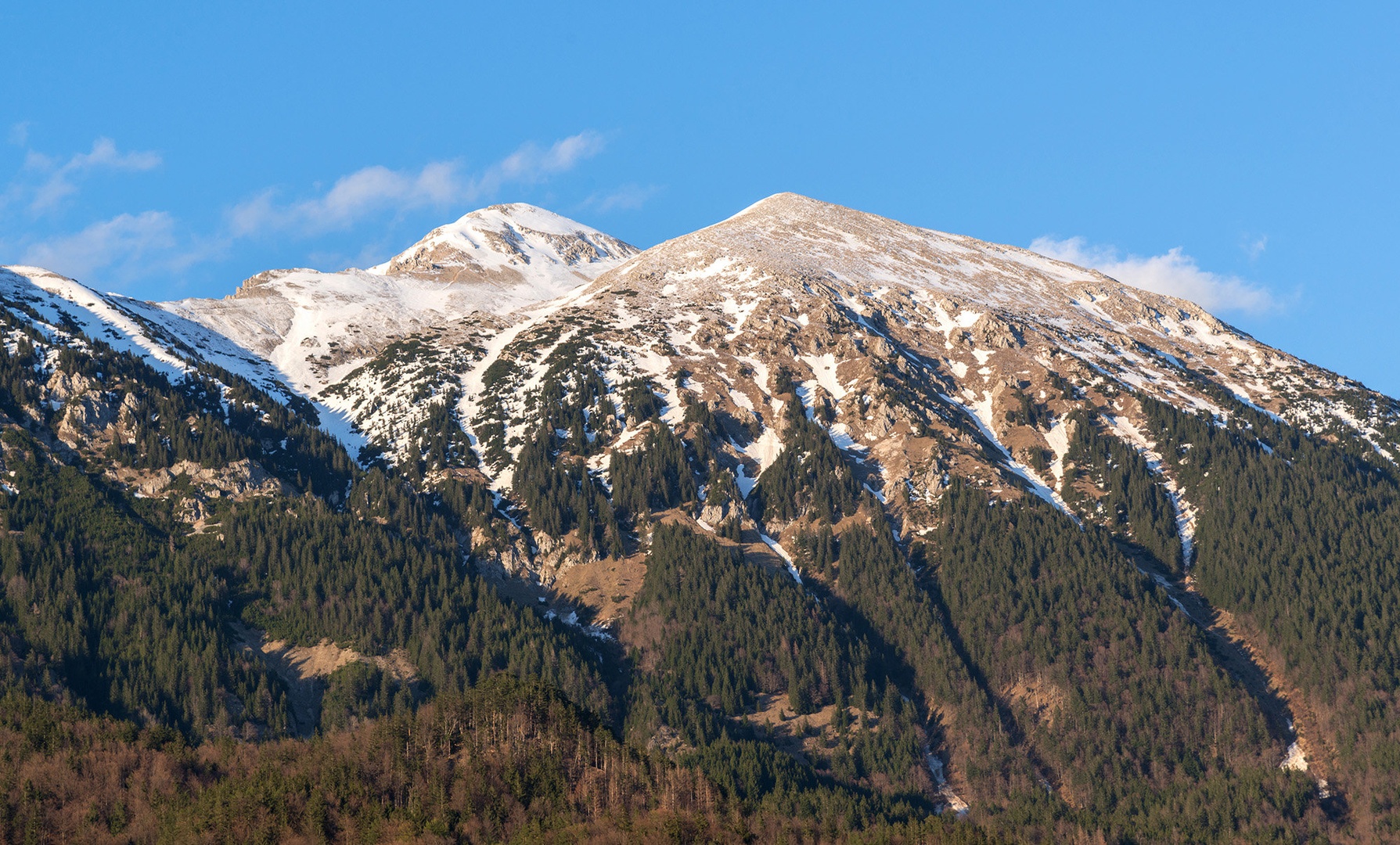 Stol by Ljerko