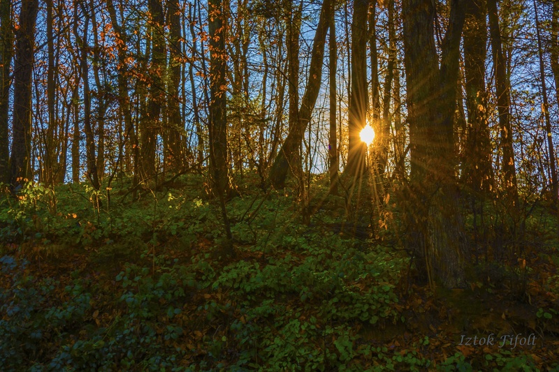 Sonce by Iztok
