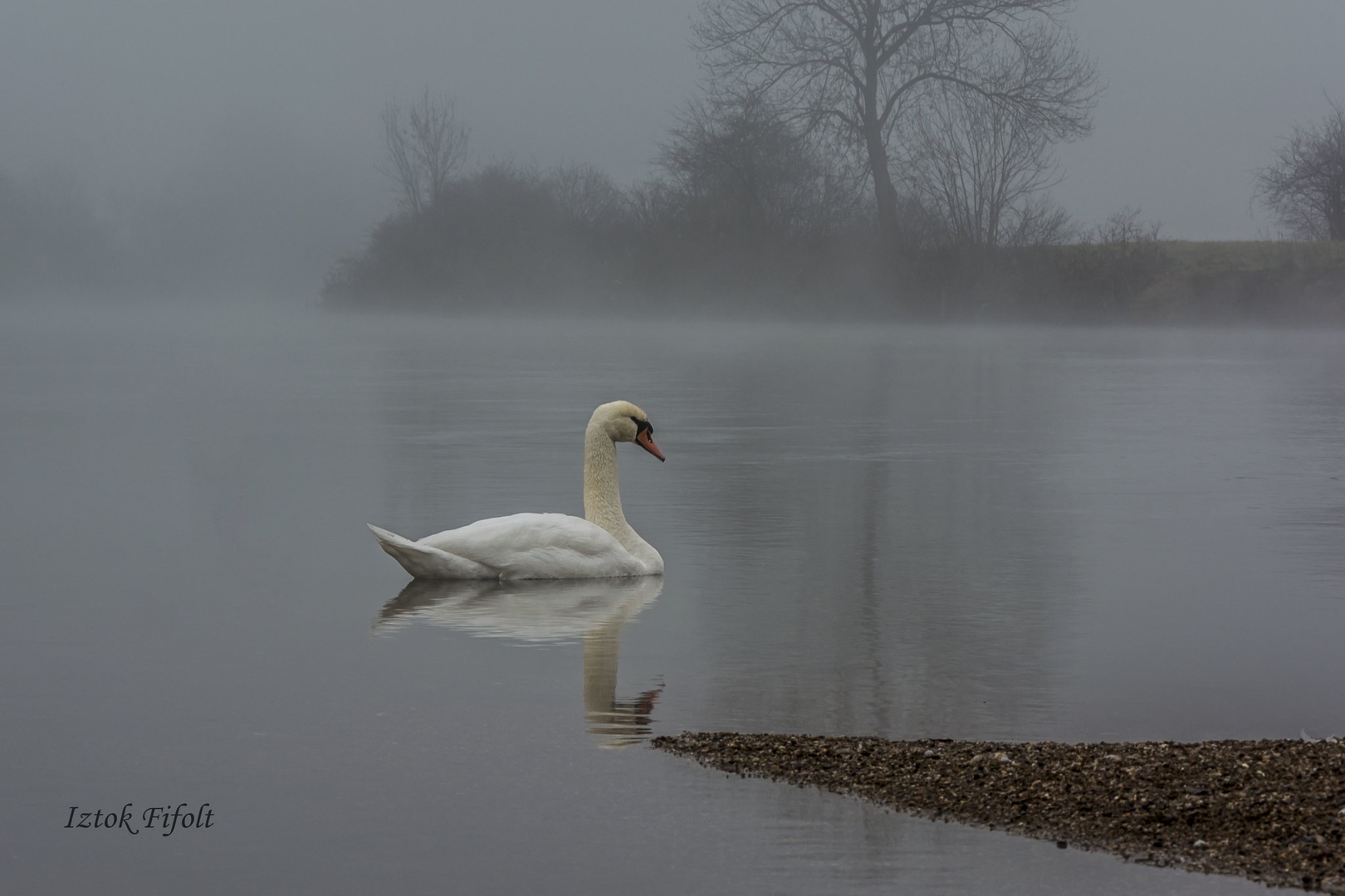 Labod by Iztok