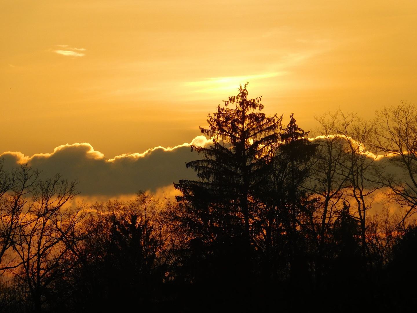Golden lining by Sabina Z