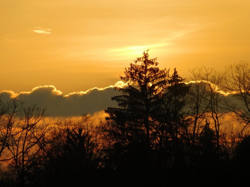 Golden lining by Sabina Z