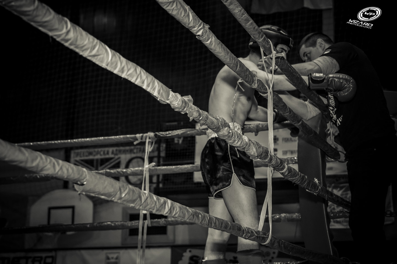 Kik Boks by Miroslav Crnobrnja