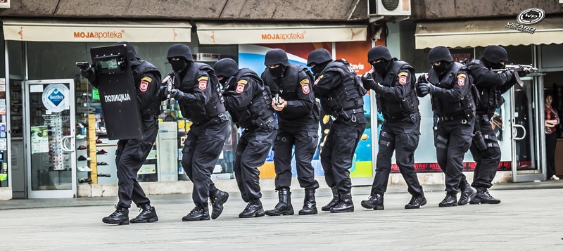 SJP Republike Srpske by Miroslav Crnobrnja