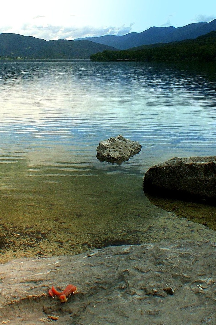 bohinjska pozabljivost by anton sečnik