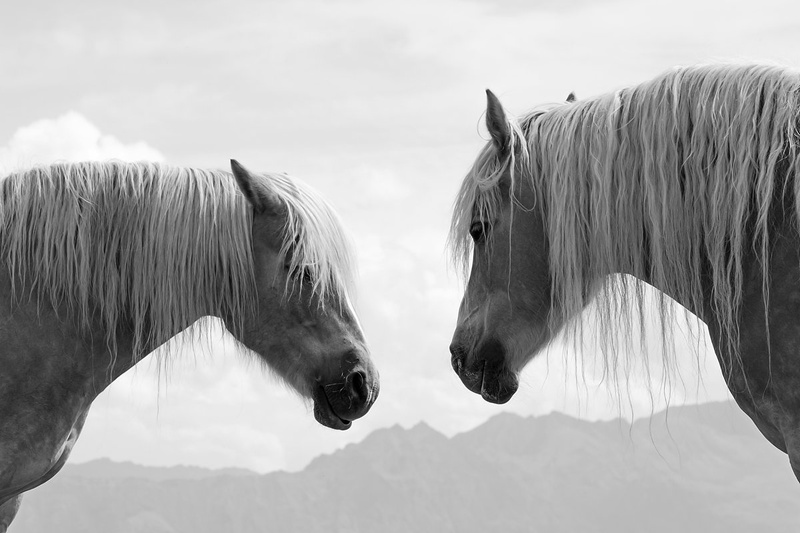 Whispering by Duba DP