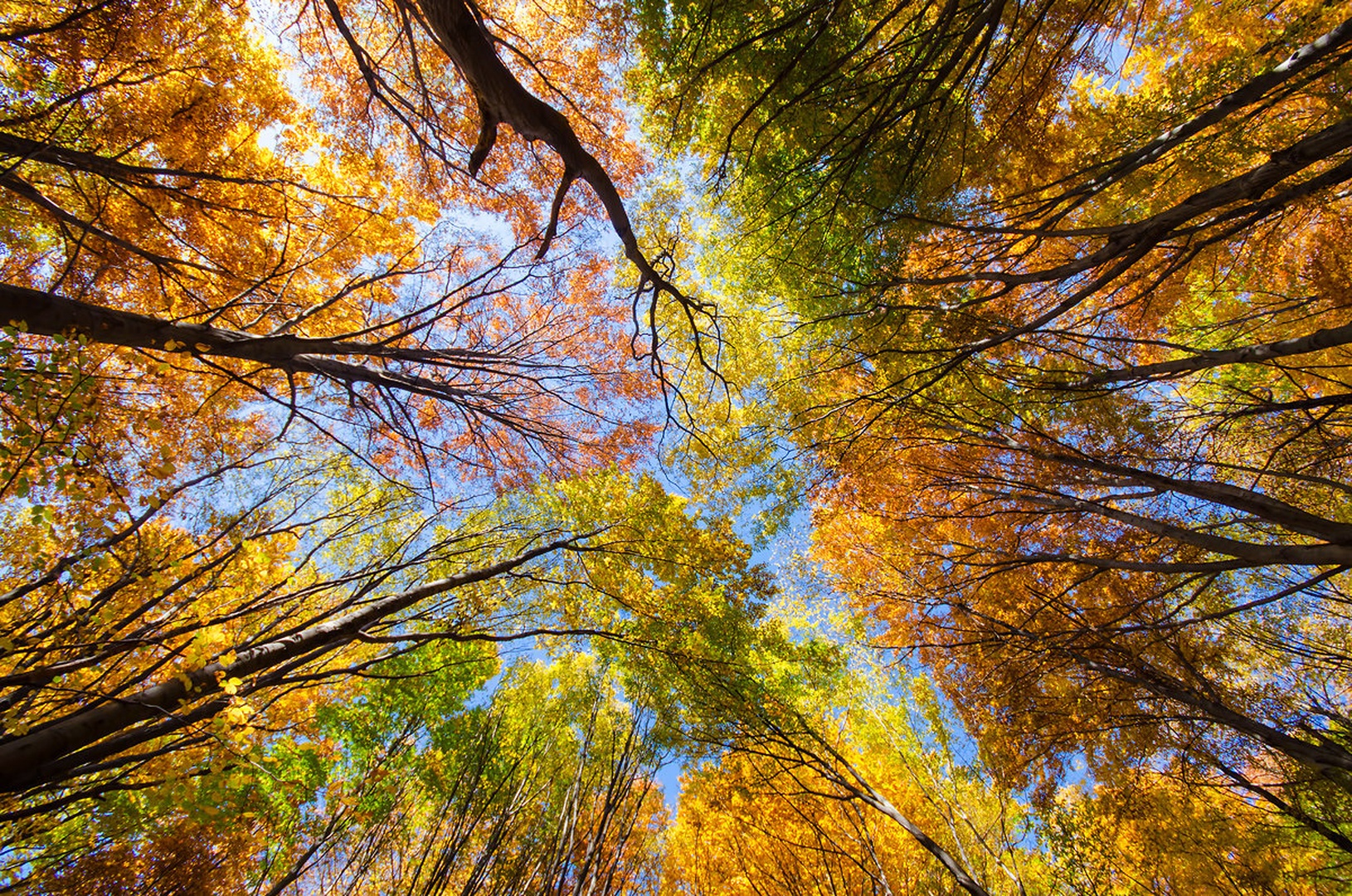 Autumn heights by Duba DP