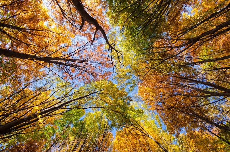 Autumn heights by Duba DP
