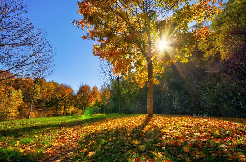 Daj si sunca by Duba DP
