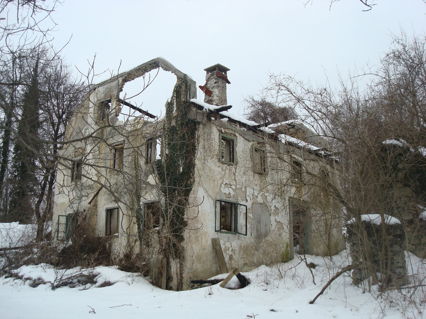 Minljivost by Franci Lipužič
