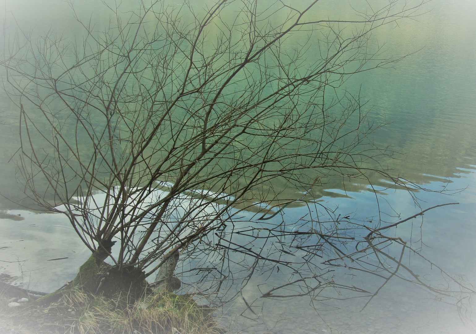 Vrbovje by Franci Lipužič