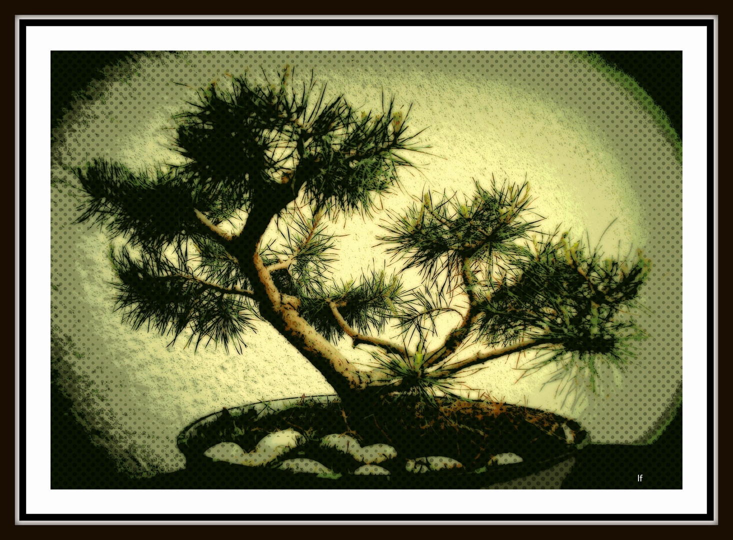 PINUS SILVESTRIS by Franci Lipužič