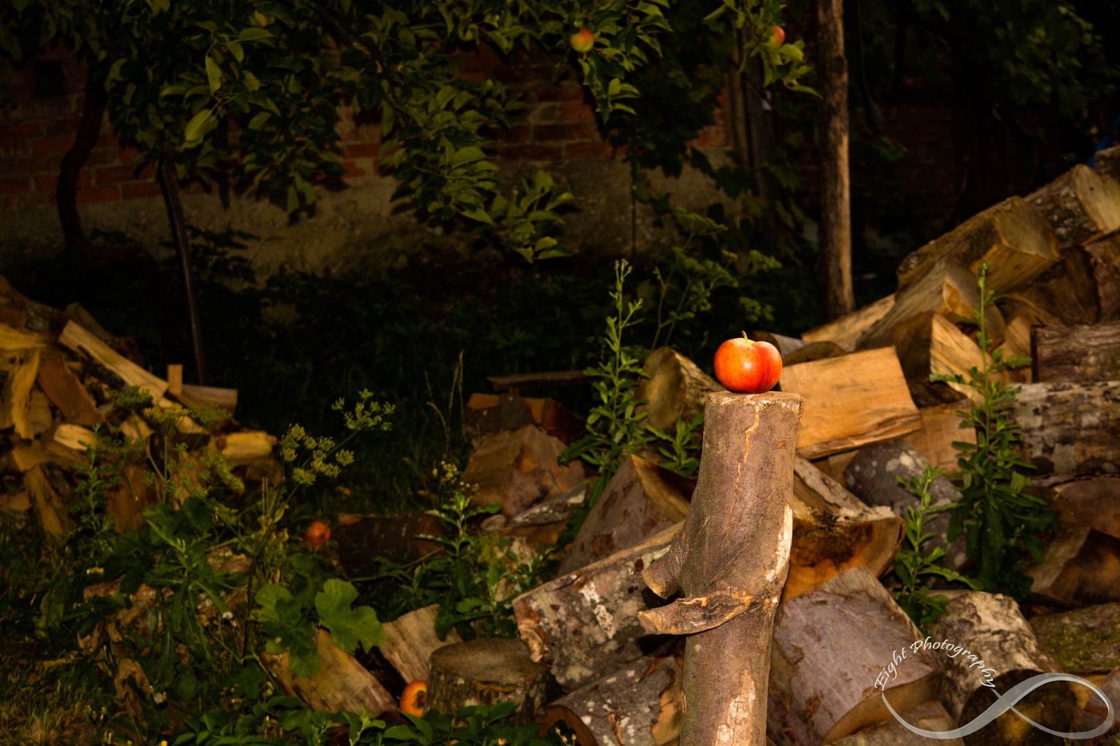 Beautiful apple by Eight Photography