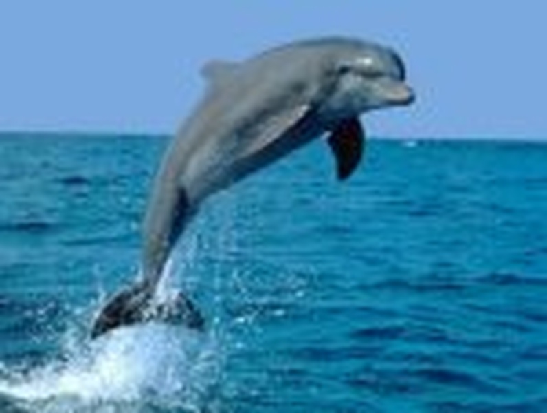 no comment by slowmotion