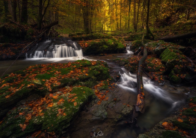 Jesen by Nino Frelih