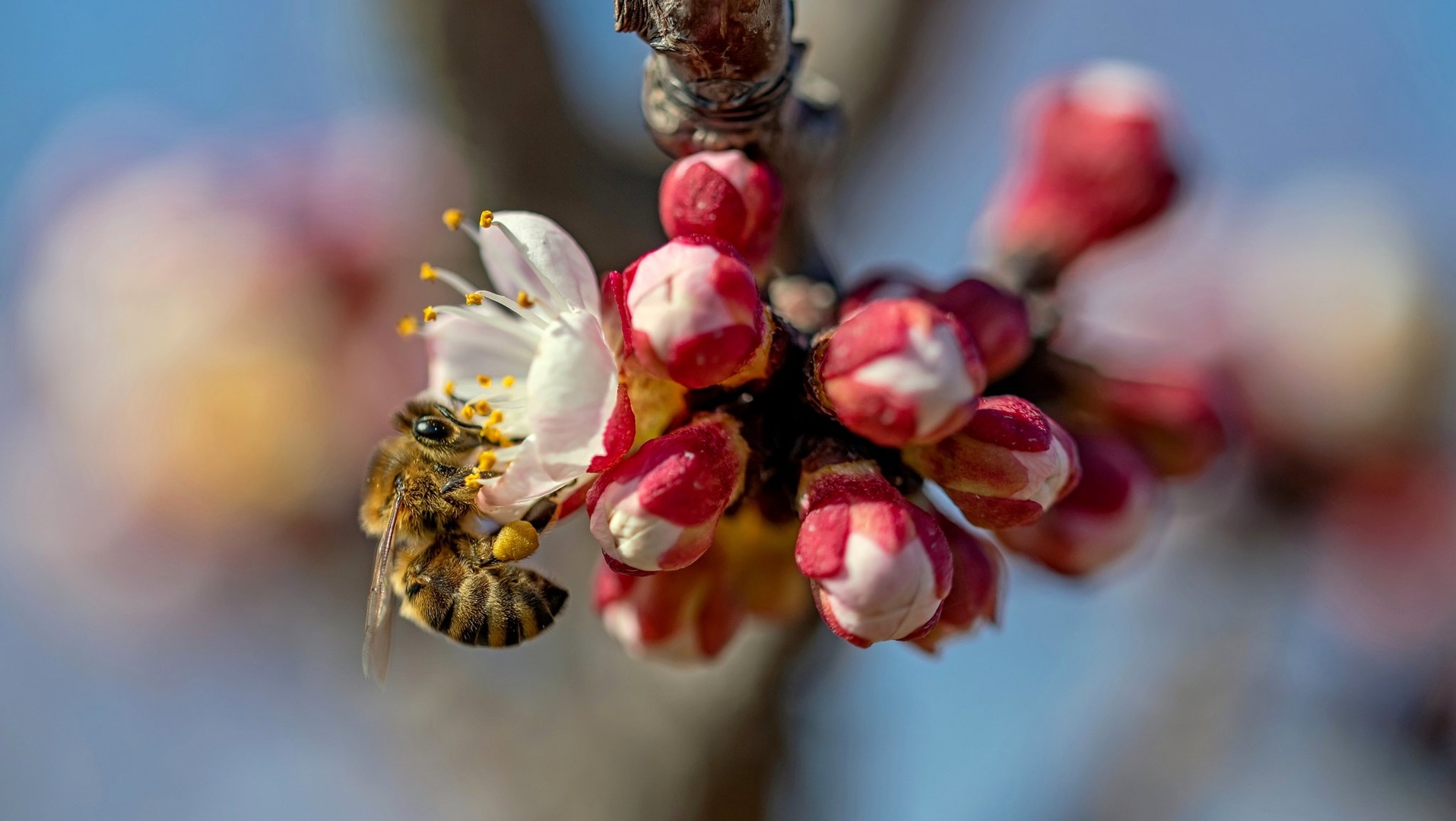 "v marelici" by Danilo Kotnik