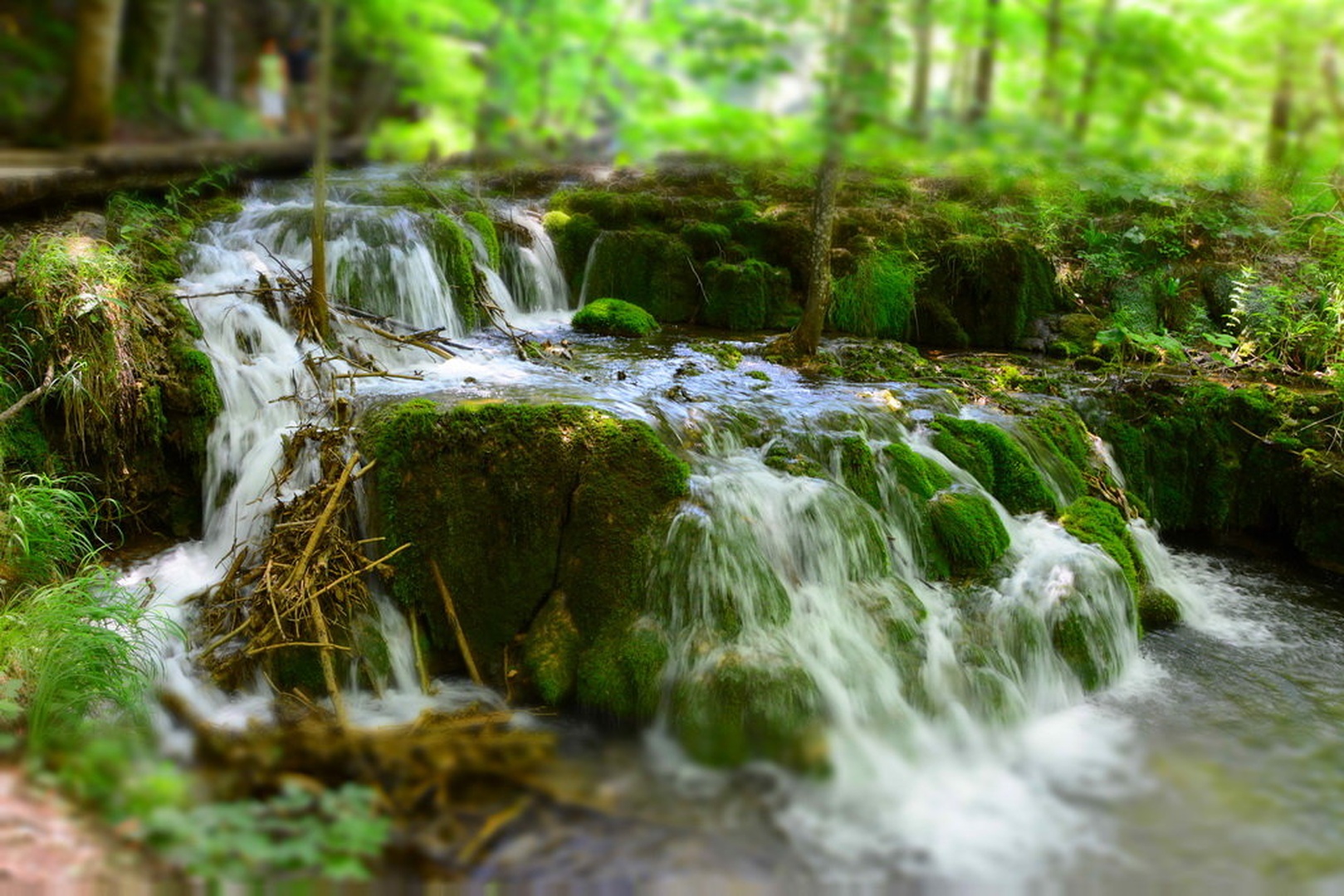 Brzice v plitvicah by Uroš NIKON