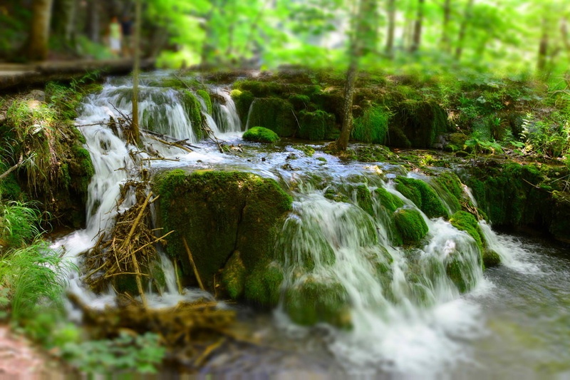 Brzice v plitvicah by Uroš NIKON