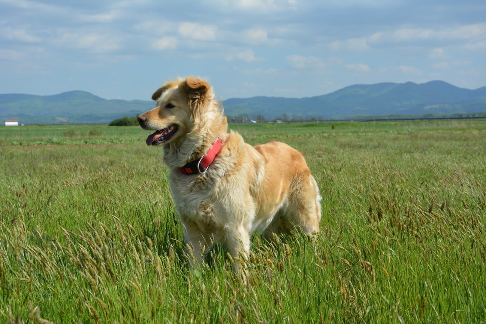 Naša Kaja by Uroš NIKON