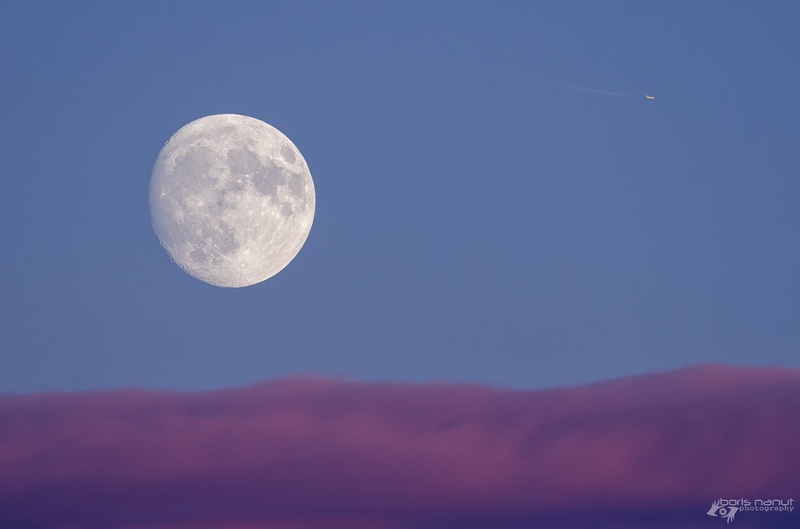 Moon Airlines by BORIS