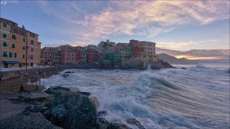 Genova by BORIS