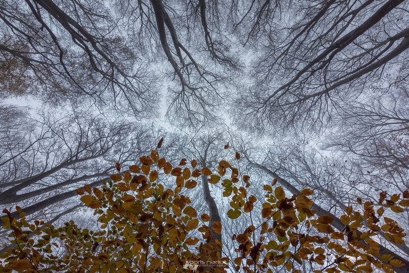 Zadnji utrinki jeseni by BORIS
